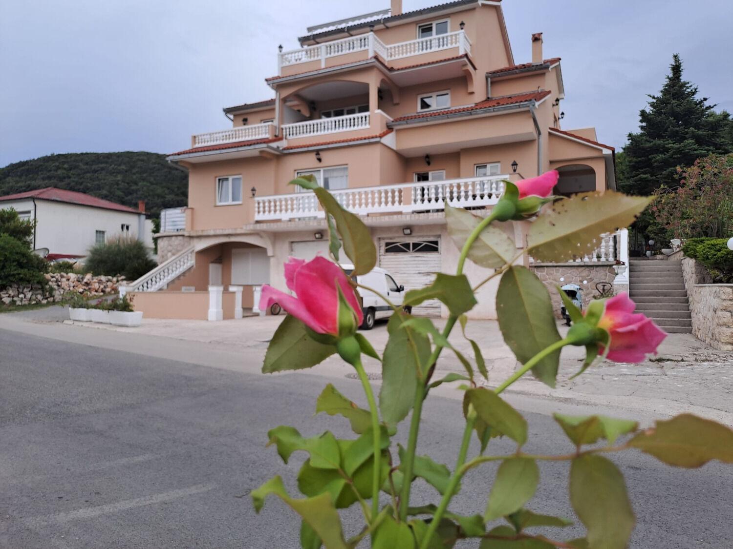 Apartments Mig - With Beautiful Garden Supetarska Draga Ngoại thất bức ảnh